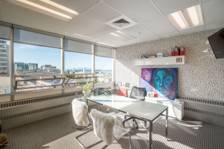 CEO Office suite 501 - 1