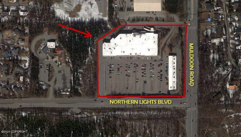 7731 E Northern Lights Boulevard #260, Anchorage