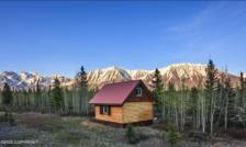 scenic vista alaska fireweed mountain lo