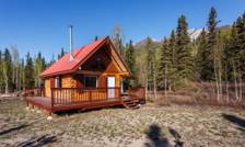 sunny day alaska fireweed mountain lodge