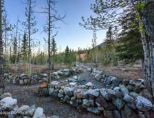 walking path alaska fireweed mountain lo