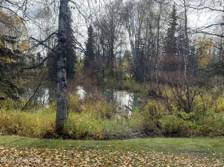 GreenSpace