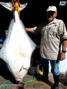 Big Fish-3_enhanced_800w