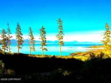 Lodge View_enhanced_800w