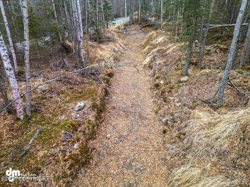 L11 Jasmine Road, Chugiak