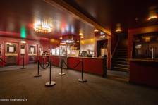 Porcupine-Theater-Interior-05