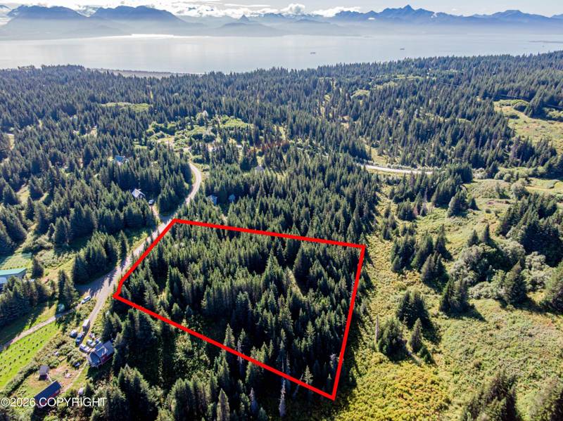 57875 Blueberry Glen Court, Homer